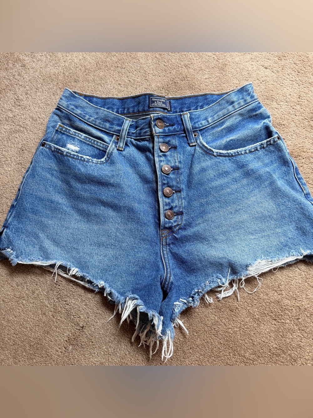 Abercrombie High-Rise Frayed Hem Denim Jean Shorts button front Sz 10